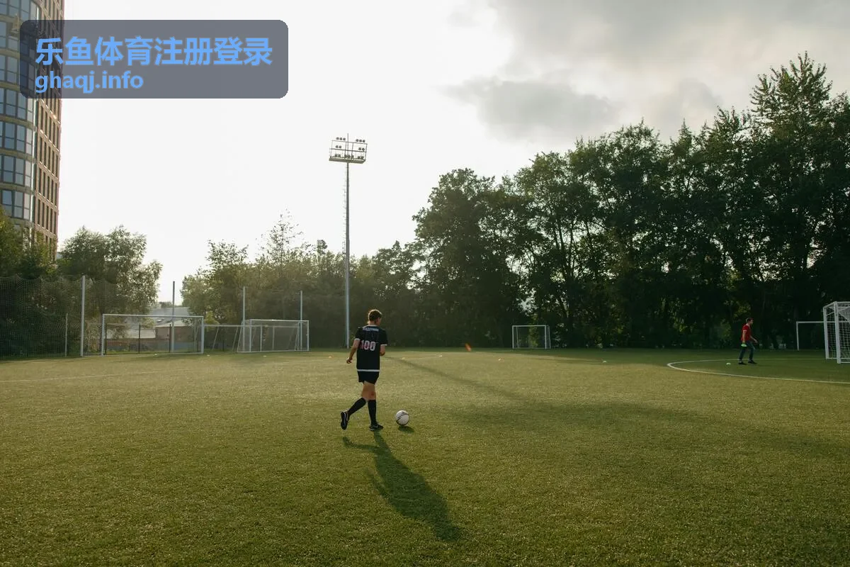 乐鱼体育登录用户反馈头像